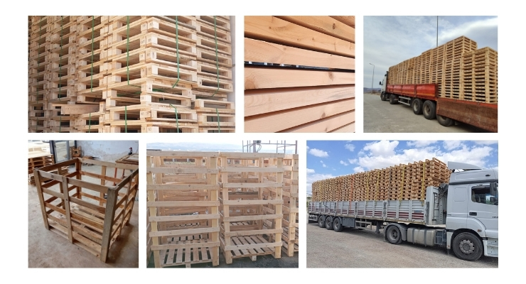 Bekilli Euro Palet Fiyatı